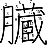 kanji stroke order for 臓